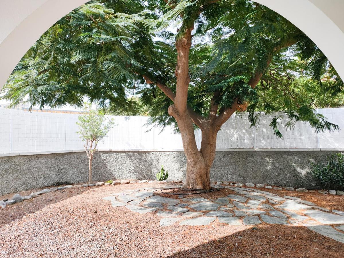 Pretty Terrace Holiday House In Maspalomas 普拉亚戴尔雷安格莱斯 外观 照片