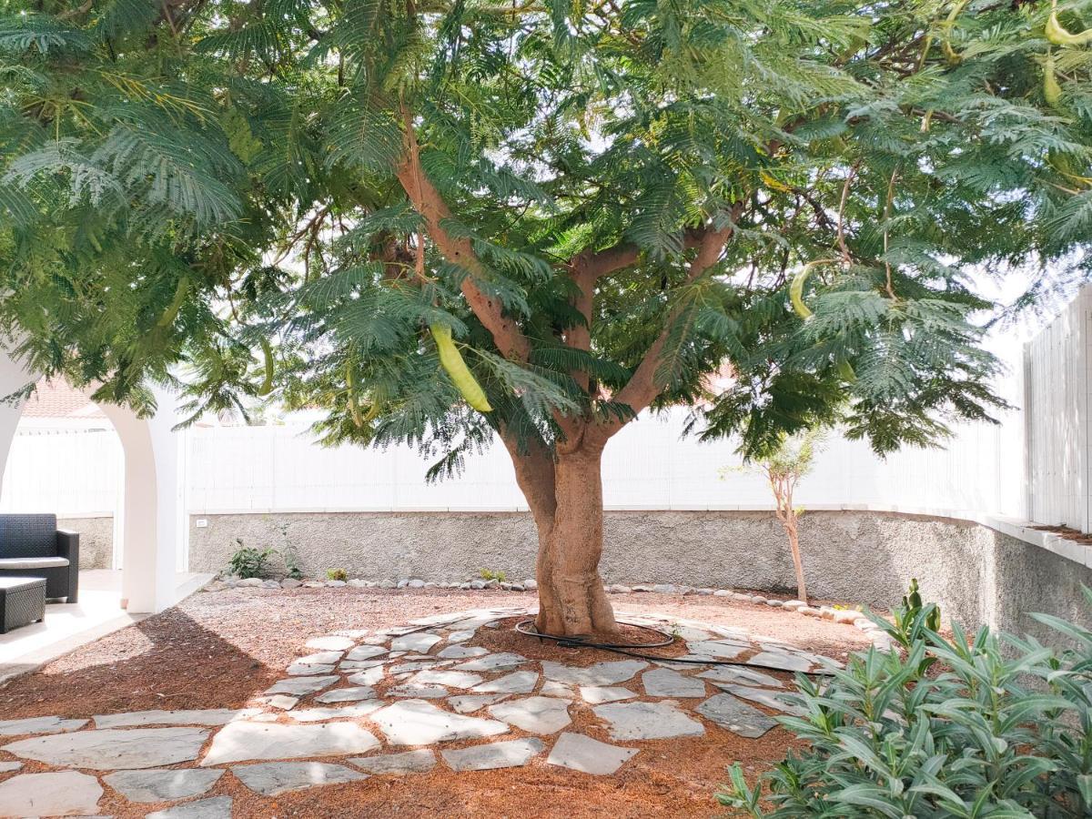 Pretty Terrace Holiday House In Maspalomas 普拉亚戴尔雷安格莱斯 外观 照片