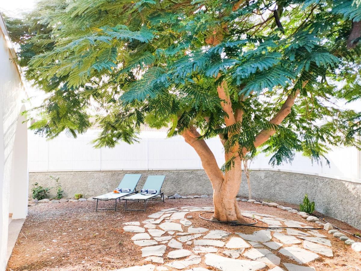 Pretty Terrace Holiday House In Maspalomas 普拉亚戴尔雷安格莱斯 外观 照片